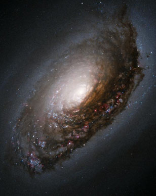 Dust Band around the Nucleus of 'Black Eye Galaxy'
