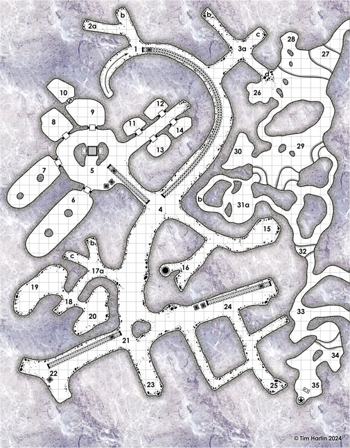 free D&D dungeon map